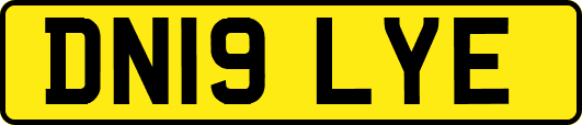 DN19LYE