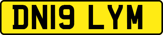 DN19LYM