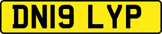 DN19LYP