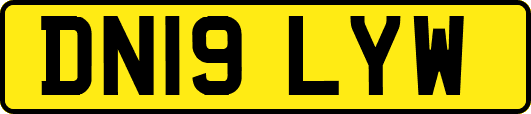 DN19LYW