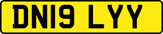 DN19LYY
