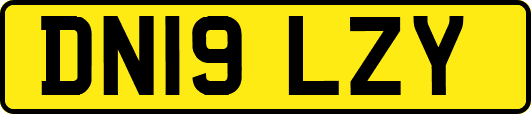 DN19LZY