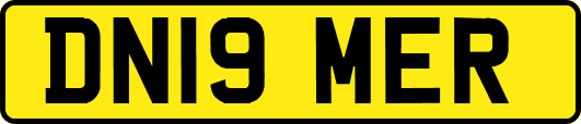 DN19MER