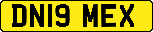 DN19MEX