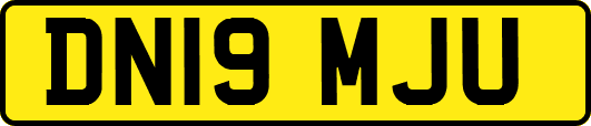DN19MJU