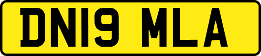 DN19MLA