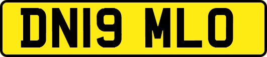 DN19MLO