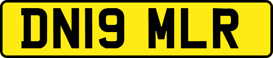 DN19MLR