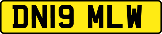 DN19MLW