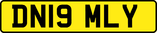 DN19MLY