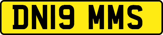 DN19MMS