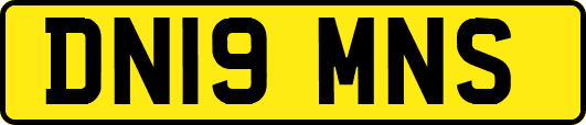 DN19MNS