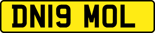 DN19MOL