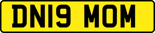 DN19MOM