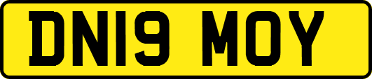DN19MOY