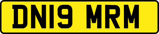 DN19MRM