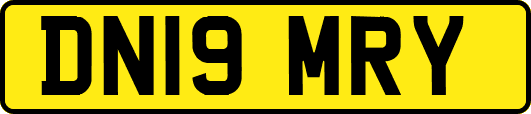 DN19MRY