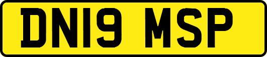 DN19MSP