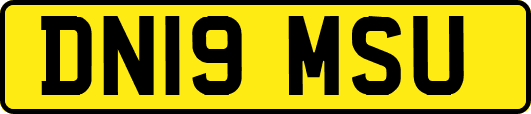 DN19MSU