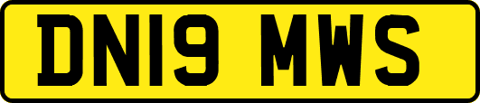 DN19MWS