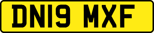 DN19MXF