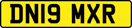 DN19MXR