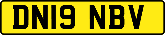 DN19NBV
