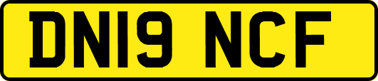 DN19NCF