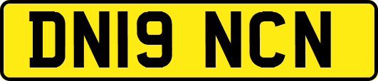 DN19NCN