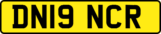 DN19NCR
