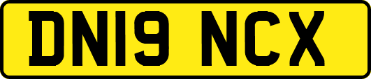 DN19NCX