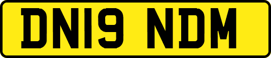 DN19NDM