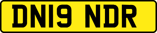 DN19NDR