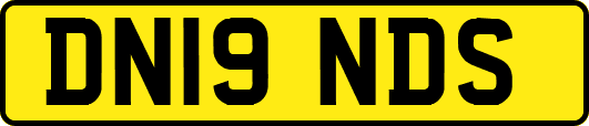 DN19NDS
