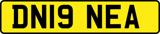 DN19NEA
