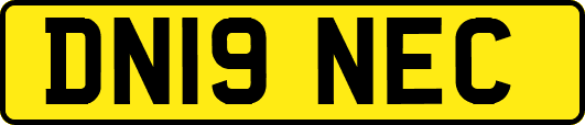 DN19NEC