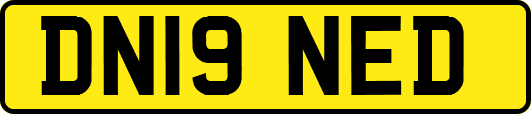 DN19NED