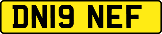 DN19NEF