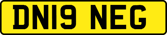 DN19NEG