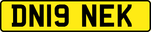 DN19NEK