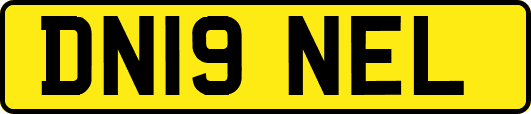 DN19NEL