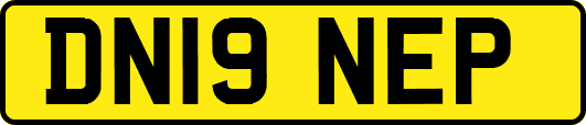 DN19NEP