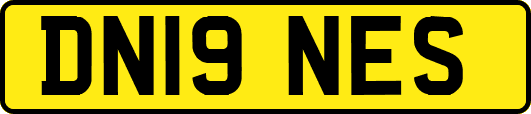DN19NES