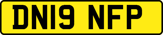 DN19NFP
