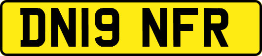 DN19NFR