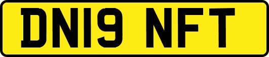 DN19NFT