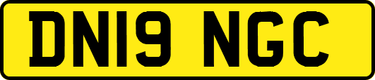 DN19NGC