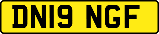 DN19NGF