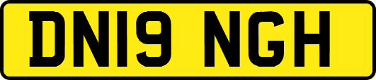 DN19NGH