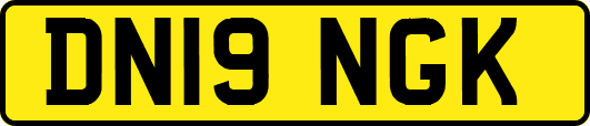 DN19NGK
